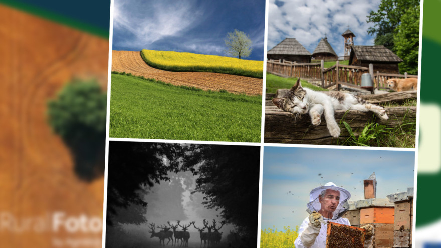 Moć fotografije – putovanje u najskrivenije kutke Hrvatske