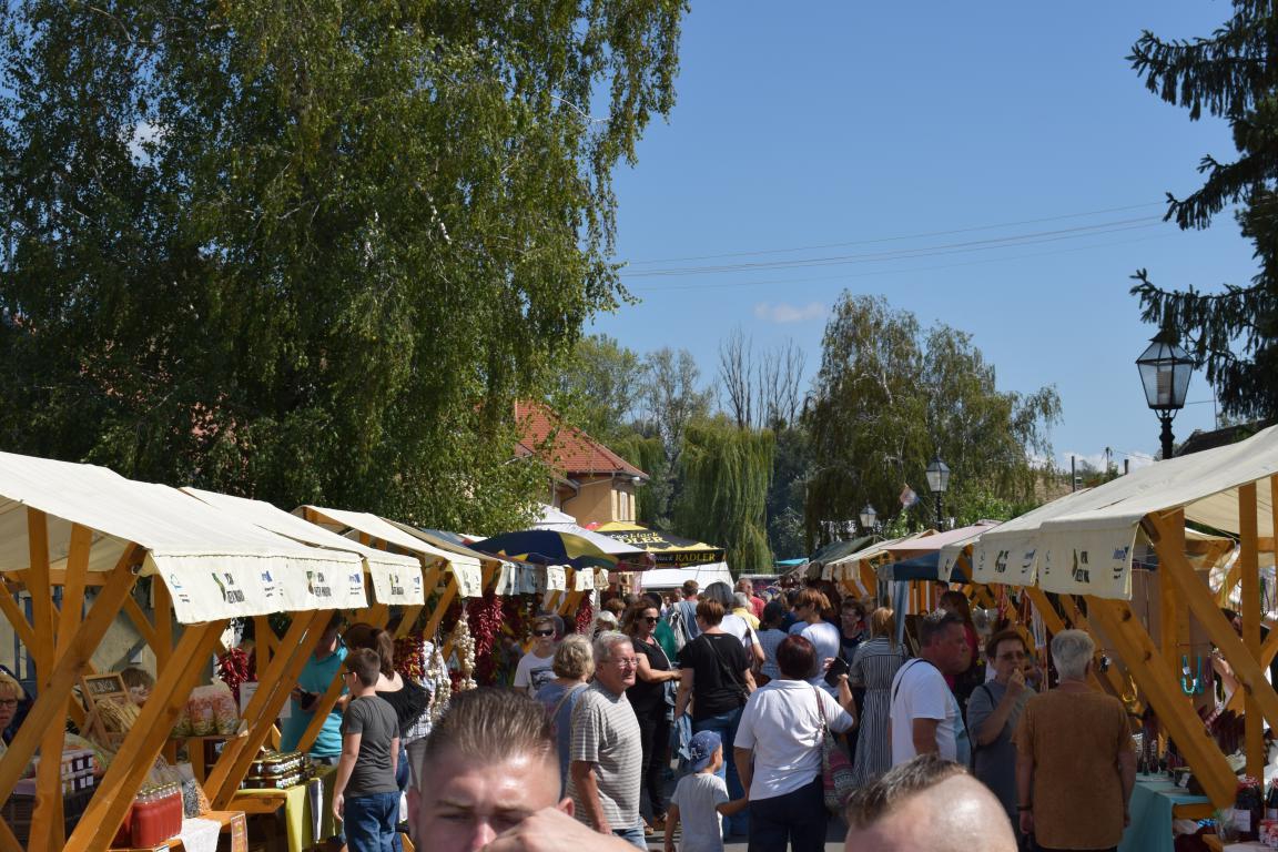 Dani kada svi putevi vode u Kopačevo